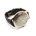 ORIENT RA-AC0P04Y30B