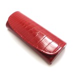 Etui  Albinex 80.040 C1