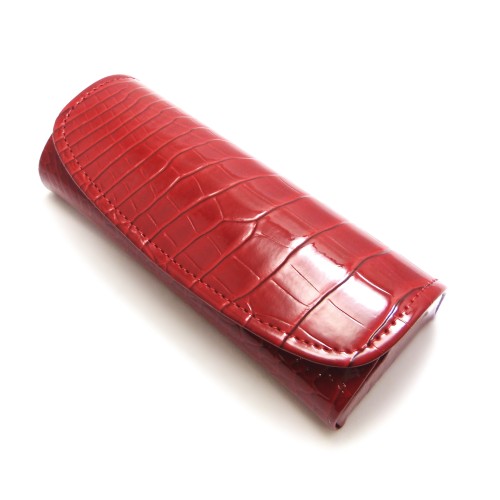 Etui  Albinex 80.040 C10